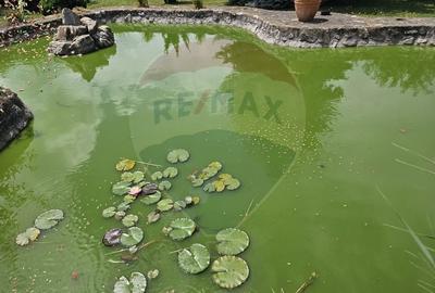 Vila deosebita cu gradina superba si panorama - Ghimbav, ultracentral - 37