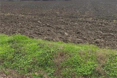 Teren Extravilan 10.000 mp in Prahova - 3