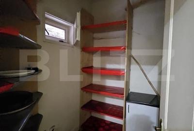 Casă cu 4 camere cu Teren 2669 Mp în Scărișoara - 3