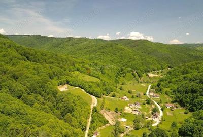 Teren de 16000 mp, în Poiana Mărului