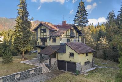 Proprietate cu potențial uriaș – Timișul de Sus – Brașov - 1