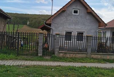 Casa nou de vanzare - 2