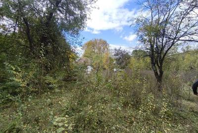 TEREN INTRAVILAN// CORNU DE JOS - 2