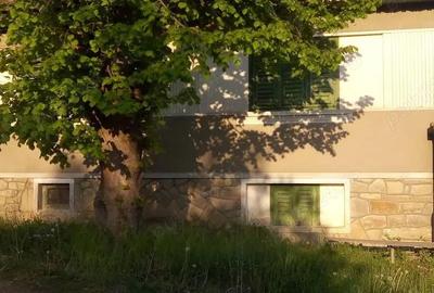 Casa in satul Colun ,cu D+P inalt ,sura mare si 1100mp teren - 2