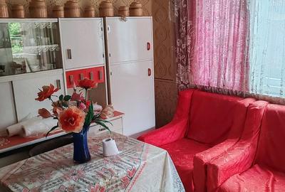 Casă cu 2 camere cu Teren 12 Mp în Giurtelecu Hododului - 7