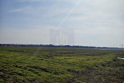 Teren de 12831 mp, în Balotești