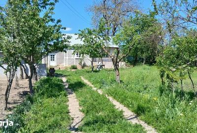 Casă cu 2 camere cu Teren 5914 Mp în Central - 6