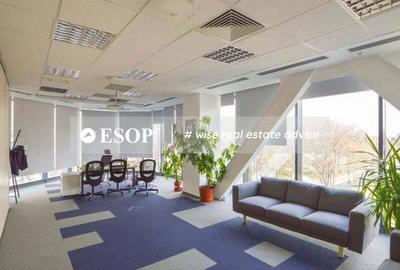 Euro Tower, Barbu Vacarescu, 220 - 3790 mp 0% comision! - 15