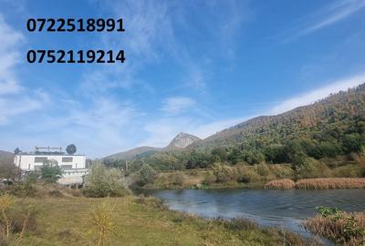 Teren deosebit, la munte, Dragoslavele, Rucar, Arges, doar 6 euro/mp! - 2