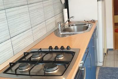 Garsonieră decomandată în Sebastian - 2