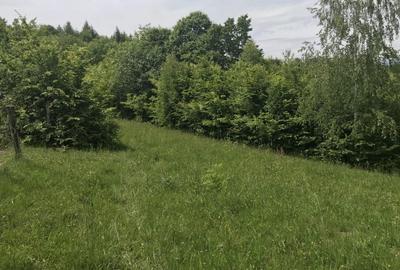 Vand teren in Albestii de Muscel faneata-pasune, partial impadurit - 5