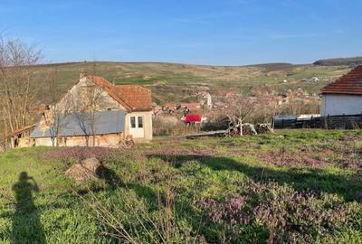 Oportunitate: teren intravilan 2500 m2 cu proiect de tiny house aprobat! - 2