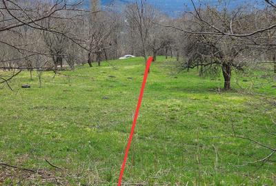 Spațiu comercial, în Periferie - 3