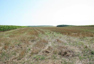 BELCIUGATELE - Complexul Valea Iazurilor, 19.720 mp. teren intravilan parcelabil - 3