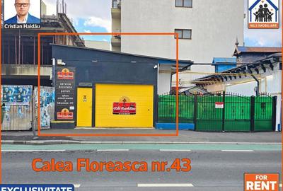 Spatiu comercial / atelier / birou | 44mp | Calea Floreasca - 1