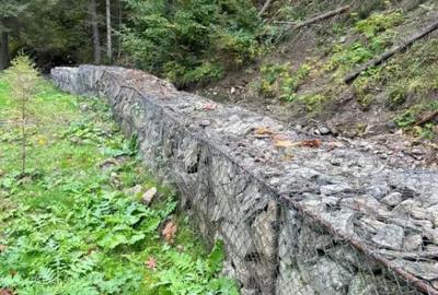 Casă cu 4 camere cu Teren 1635 Mp în Șugag - 4
