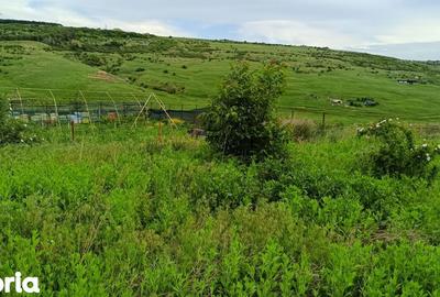 Teren de 1212 mp, în Aroneanu - 5