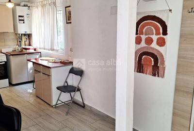 Bucium, apartament 1 camera cu terasa si garaj, la casa - 6