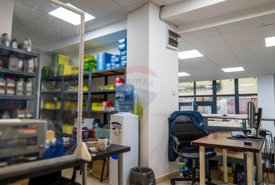 INVESTITIE - Vanzare vila finalizata S+P+2E+M, zona Doamna Ghica - 41