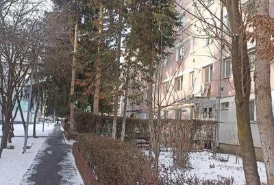 De vanzare garsoniera pe strada Vasile Goldis in Sfantu Gheorghe - 2