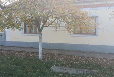 Casa de vanzare in Alio? jude?ul Timi? - 4