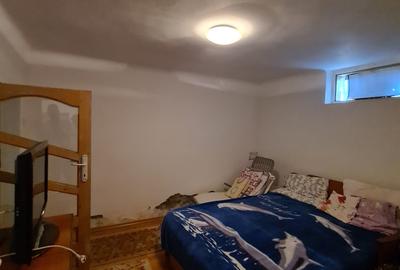 Casa individuala/sat Dobreni comuna Varasti - 10