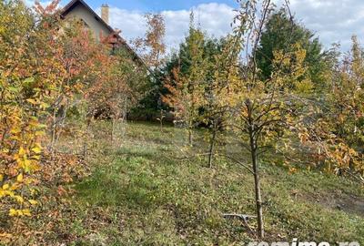 Casă cu 4 camere cu Teren 2200 Mp în Central - 16