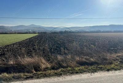 Teren extravilan de vanzare 8.188 mp - 3