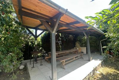 Casă individuală cu 7 camere cu Canalizare în Sebeș - 10