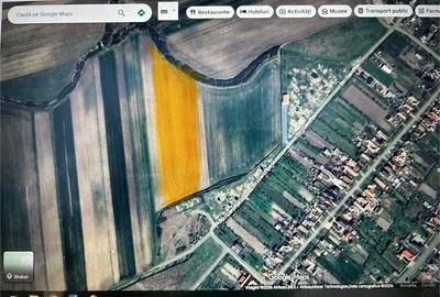 Teren de 17400 mp, în Bucovăț (Remetea Mare)