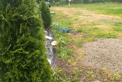 Casă individuală cu 3 camere cu Teren 1046 Mp în Hărțăgani - 10