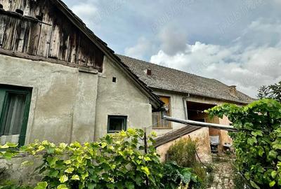Casă cu 6 camere cu Teren 4300 Mp în Otelec - 4