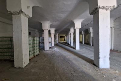 Spațiu industrial, în Brătianu - 9