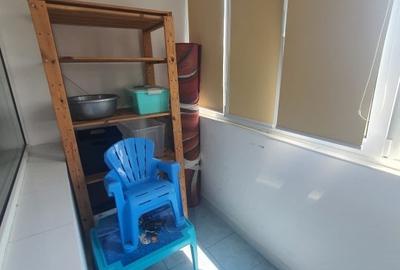 Baba Novac, Parc Ior, Mall Park Lake - 4