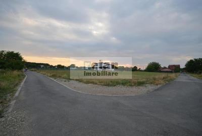 Snagov Ciofliceni - Teren 6153mp, D 25 M, Toate Utilitatile, Asfalt