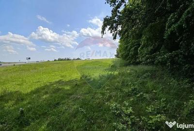 Teren de 7000 mp, în Ilișești - 15