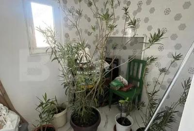 Casă cu 2 camere cu Teren 350 Mp în Central - 3