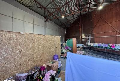 Spațiu comercial, de 150 mp, în Nicolina - 2