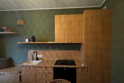 Oferim spre inchiriere apartament cu 1 camera in zona Someseni - 3