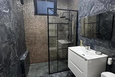 Apartament cu 3 camere in Pta Unirii Corneliu Coposu - 16