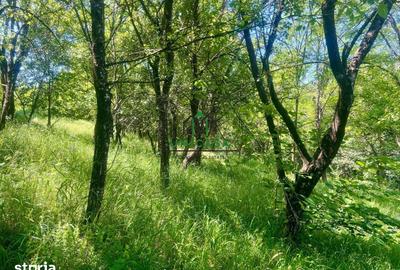 Teren de 8300 mp, în Vaideeni - 3