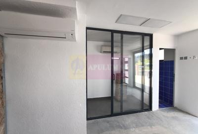 Spațiu comercial, de 20 mp, în Cățelu - 12