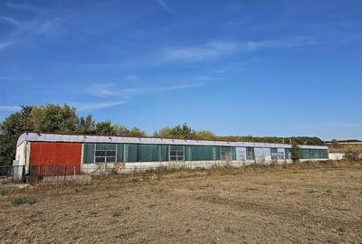 Spațiu industrial, de 1,000 mp, în Central - 2