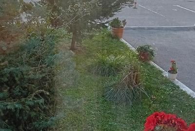 Splaiul Unirii 9, intre Sect.3 si Popesti Leordeni - 20