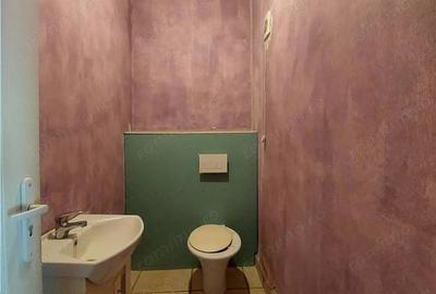 Casă cu Teren 2155 Mp în Periam - 3