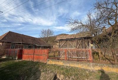 Casă cu Teren 1897 Mp în Troița - 8