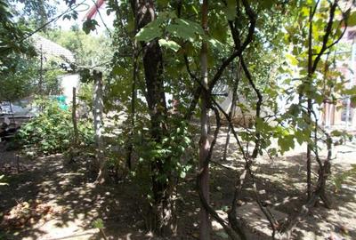 Casa veche, Timisoara, Modern, 3 cam, teren 427mp, utilitati - 4