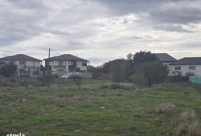 Spațiu comercial, în Palazu Mare - 5