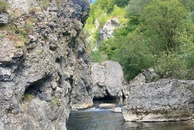 Oportunitate unica ! Proprietate in parc na?ional pe malul Cernei ! - 6