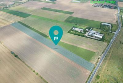 Teren extravilan 12.000 mp DN79 Arad-Oradea - 1